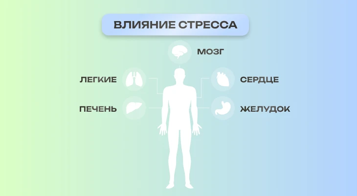 Влияние стресса на организм человека