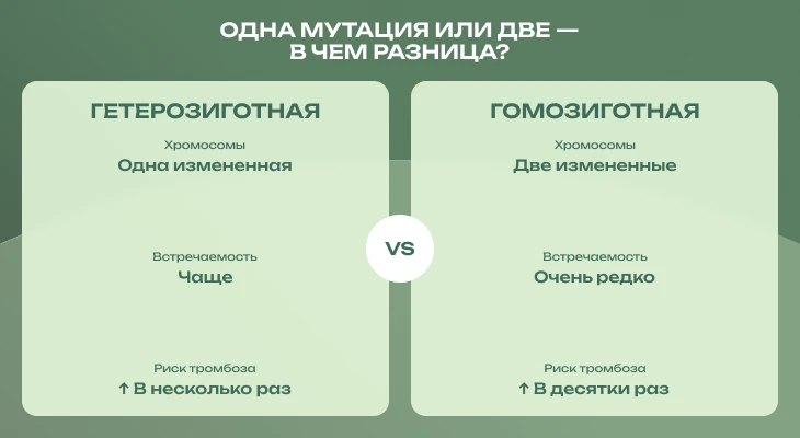 Гетерозиготная и гомозиготная формы мутации.