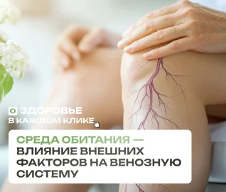 Венозная система диабетиков — влияние среды обитания